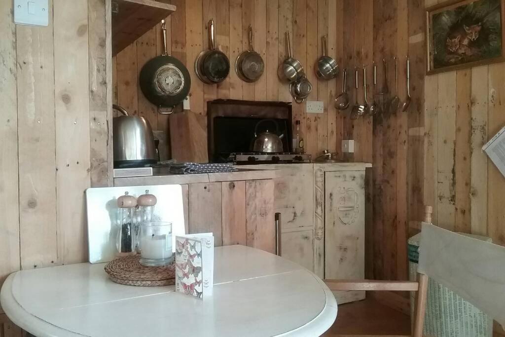 Foxesden, Unique Eco Cabin, Dartmoor Views 사우스브렌트 외부 사진