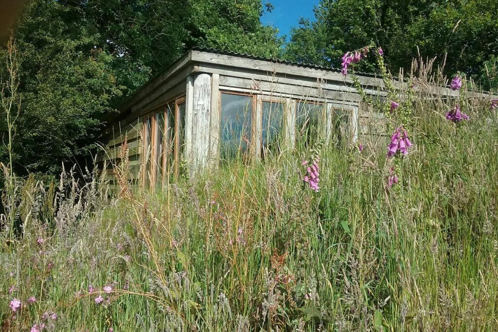 Foxesden, Unique Eco Cabin, Dartmoor Views 사우스브렌트 외부 사진