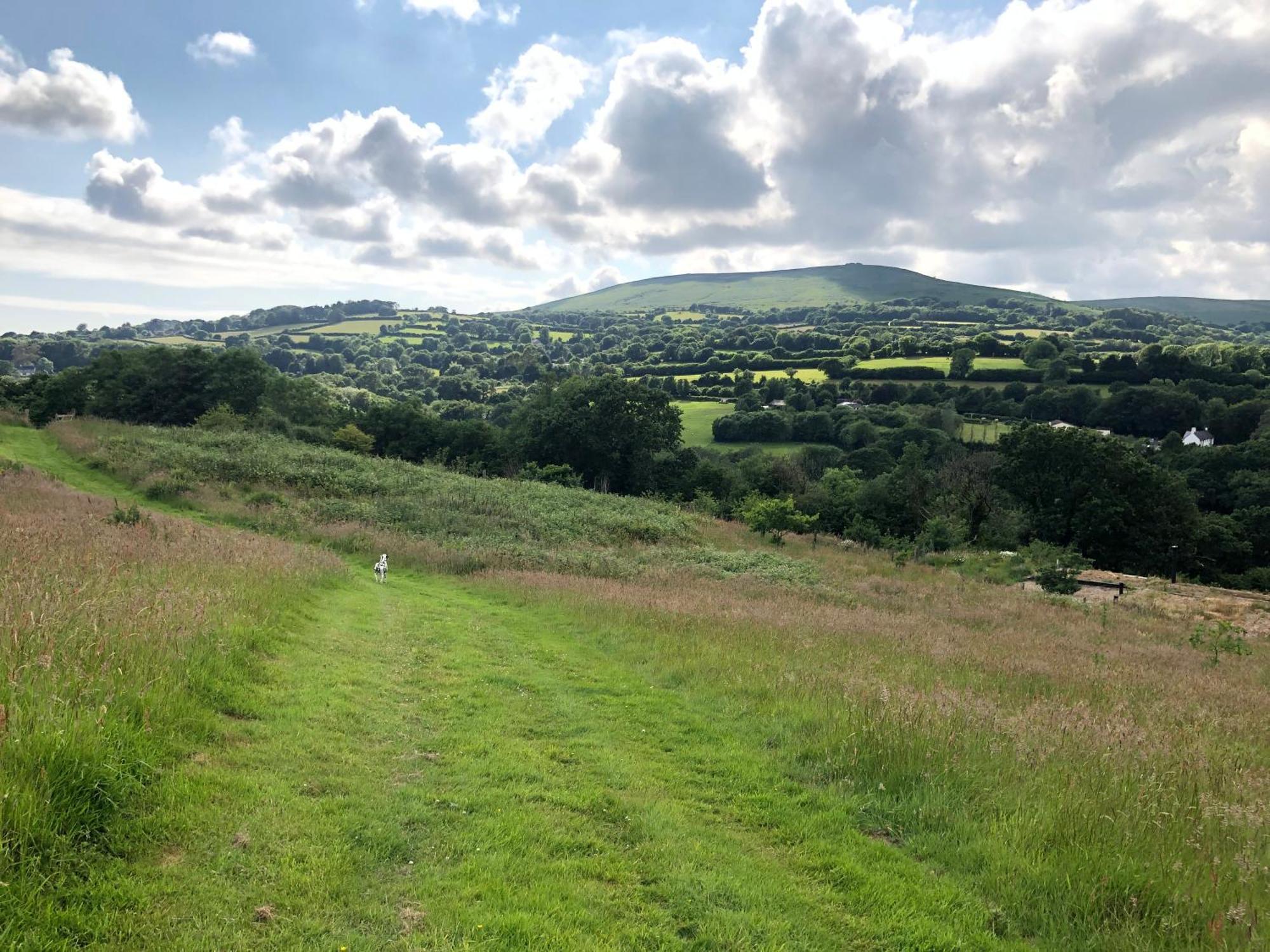 Foxesden, Unique Eco Cabin, Dartmoor Views 사우스브렌트 외부 사진