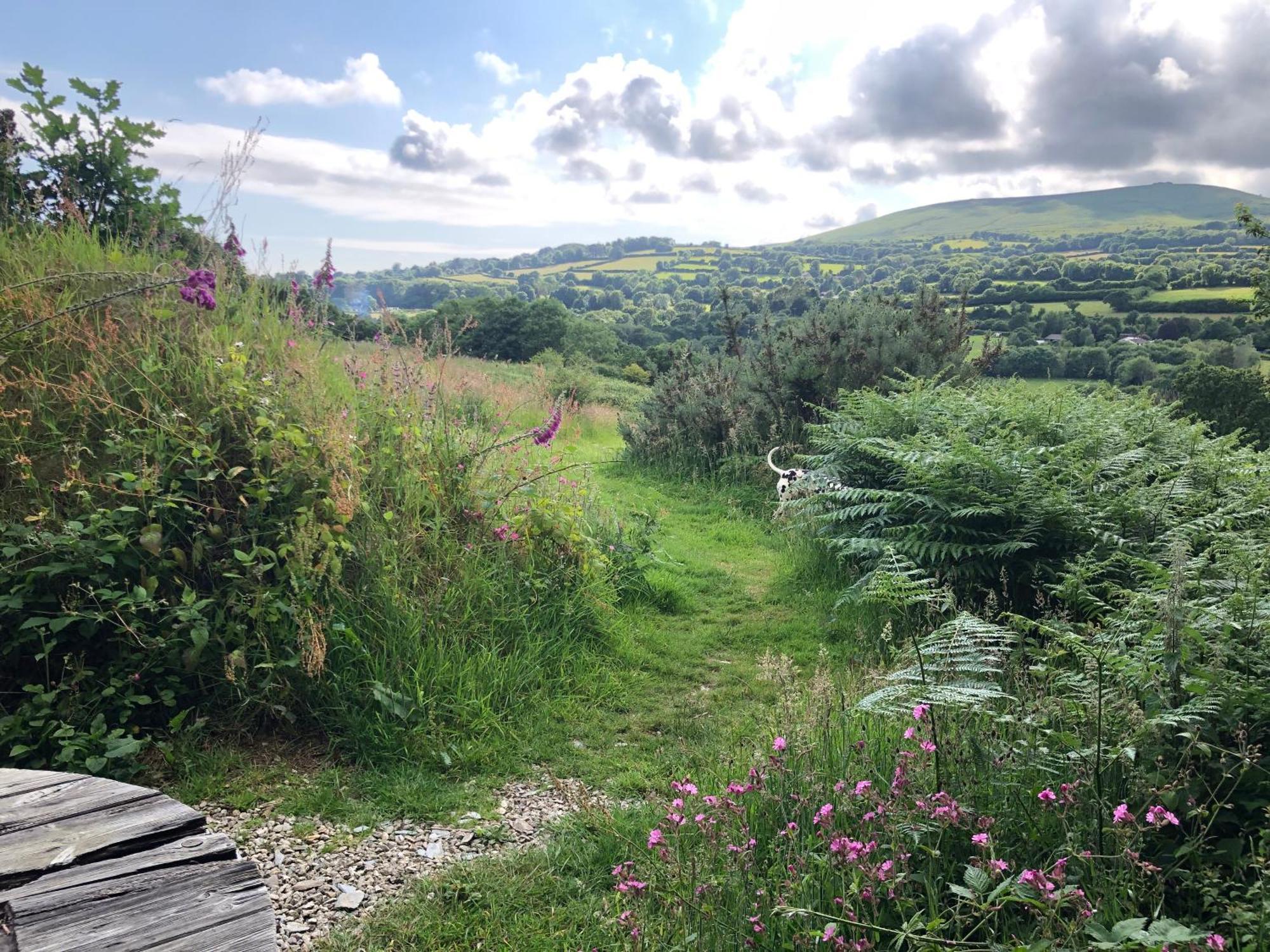 Foxesden, Unique Eco Cabin, Dartmoor Views 사우스브렌트 외부 사진